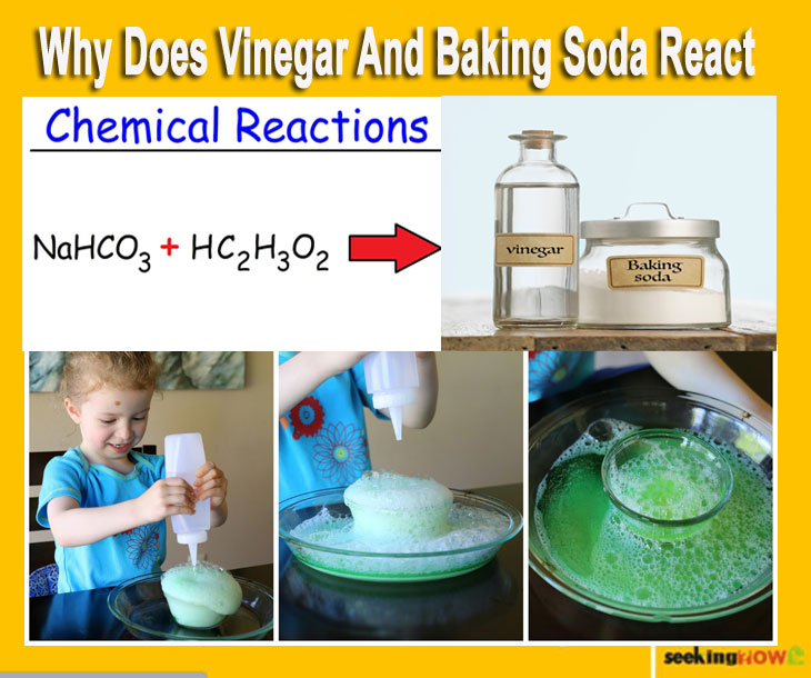 Why Does Vinegar And Baking Soda React