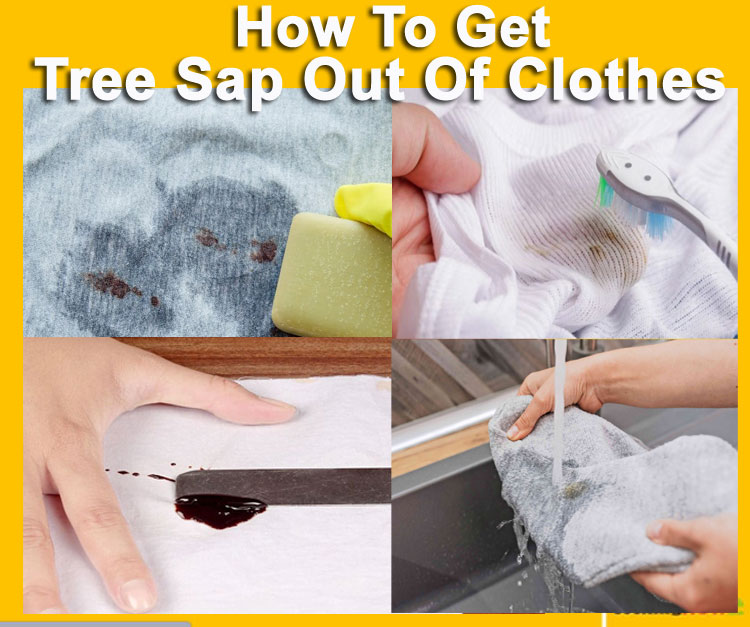 How To Get Tree Sap Out Of Clothes