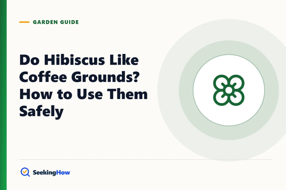 Do Hibiscus Like Coffee Grounds? How to Use Them Safely