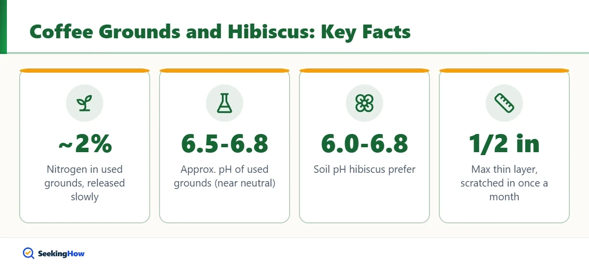 Key facts about using coffee grounds for hibiscus plants