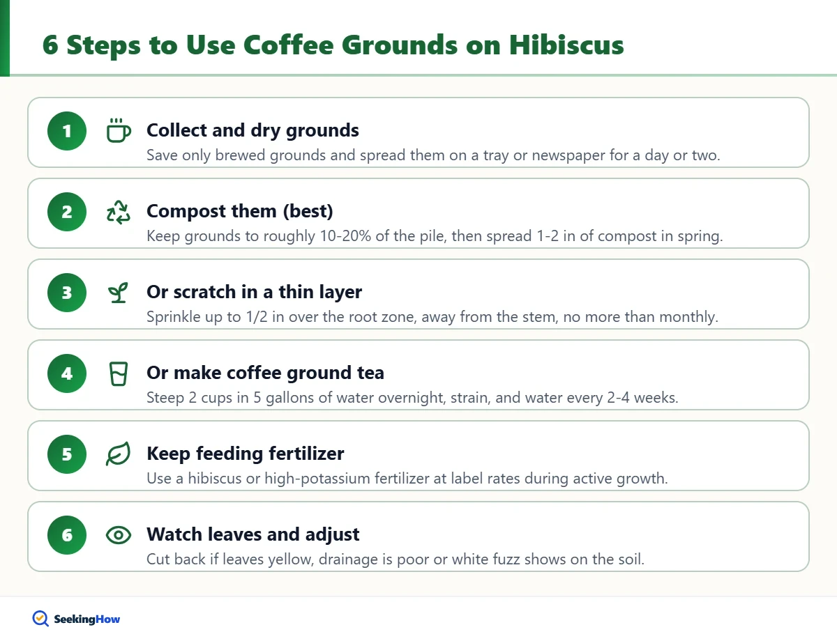 Steps showing how to use coffee grounds on hibiscus