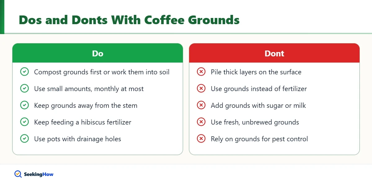 Do and do not tips for using coffee grounds on hibiscus