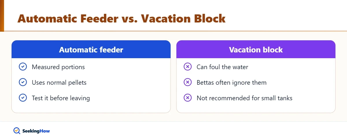Comparison of automatic feeders and vacation blocks for betta fish