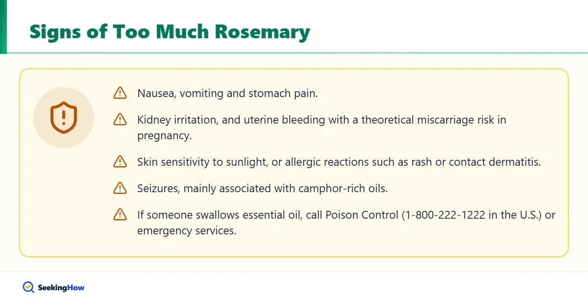 Warning signs of eating too much rosemary