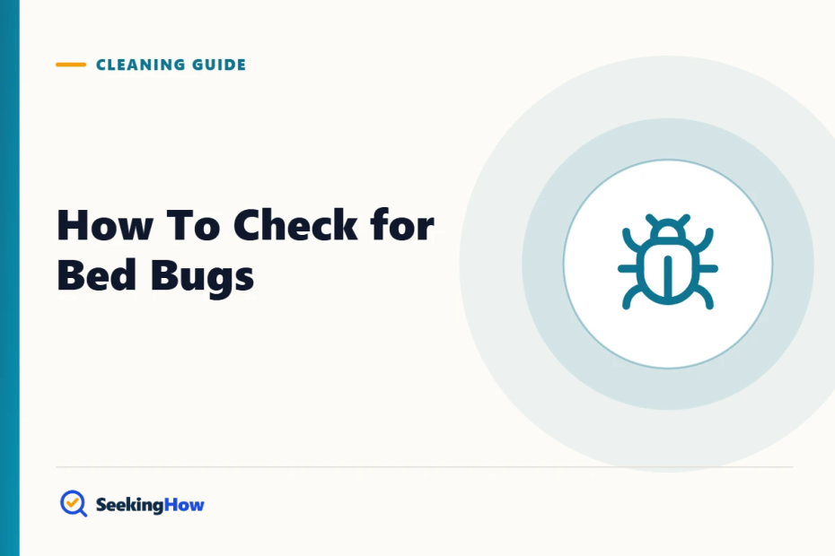 How To Check for Bed Bugs: Signs, Hiding Spots & 7 Steps