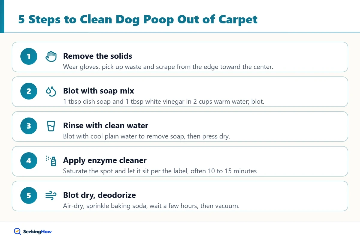 Five steps to clean dog poop out of carpet