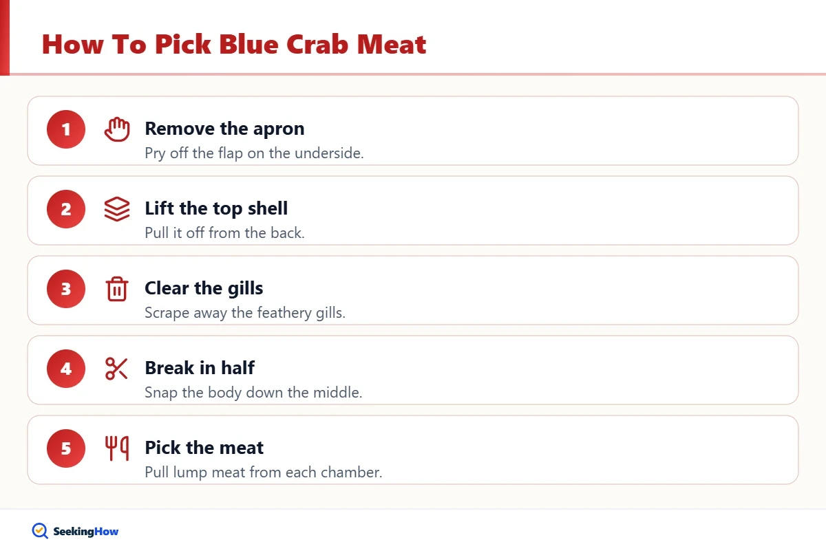 How to pick meat from a cooked blue crab