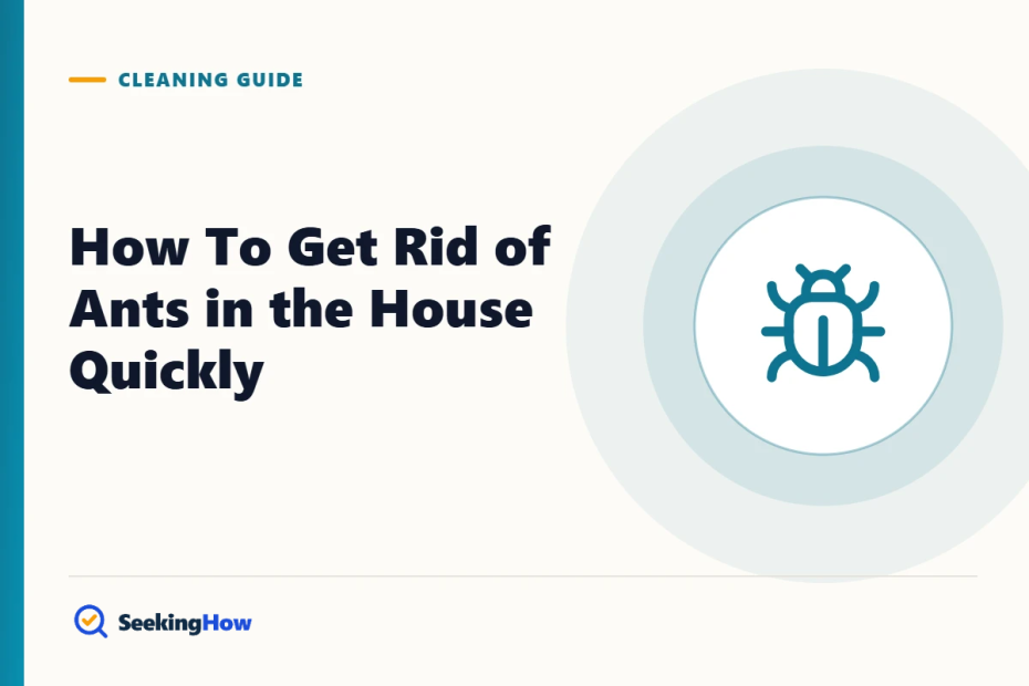 How To Get Rid of Ants in the House Quickly (and Keep Them Out)