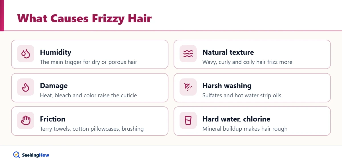 Diagram explaining what causes frizz before you get rid of frizzy hair