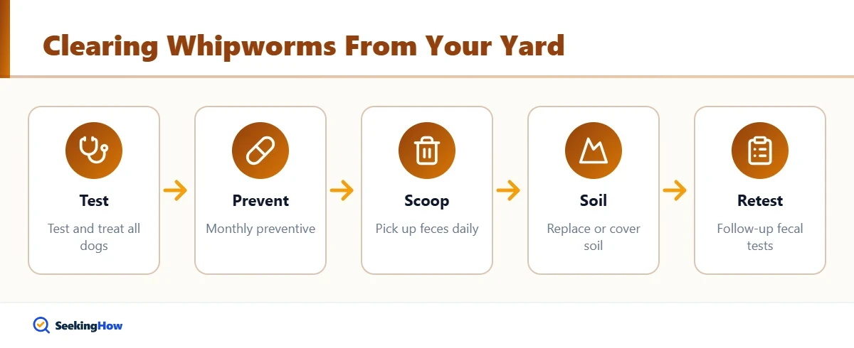 Process to get whipworms out of your yard