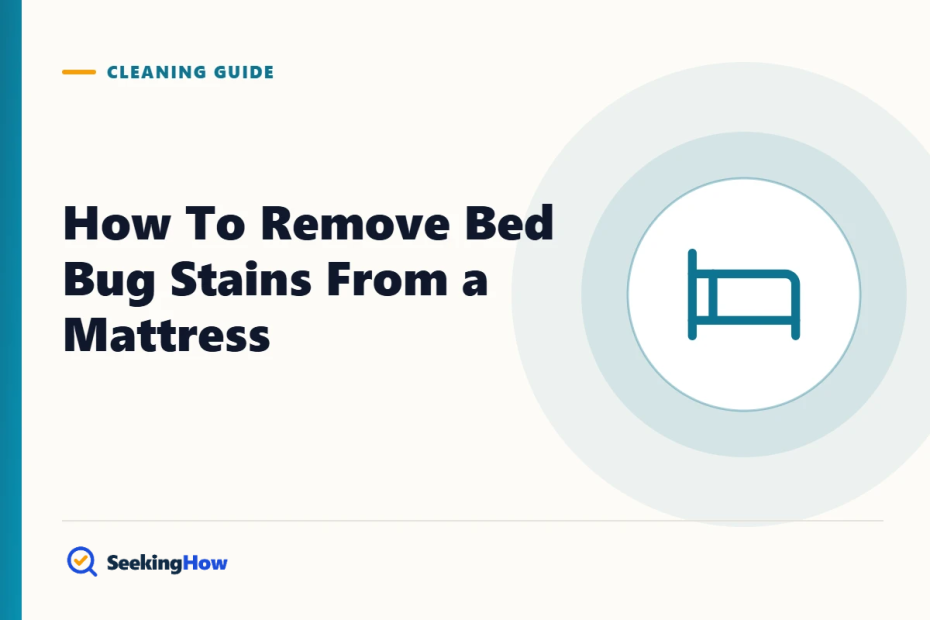 How To Remove Bed Bug Stains From a Mattress in 7 Steps