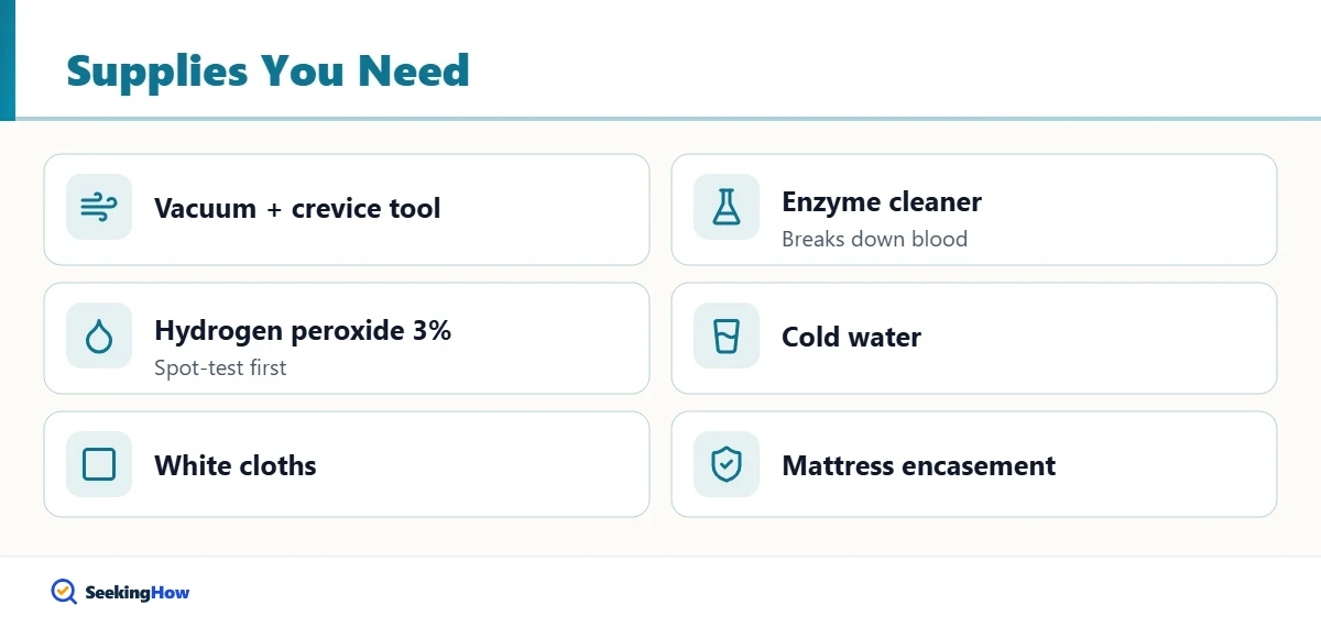Supplies to remove bed bug stains from a mattress