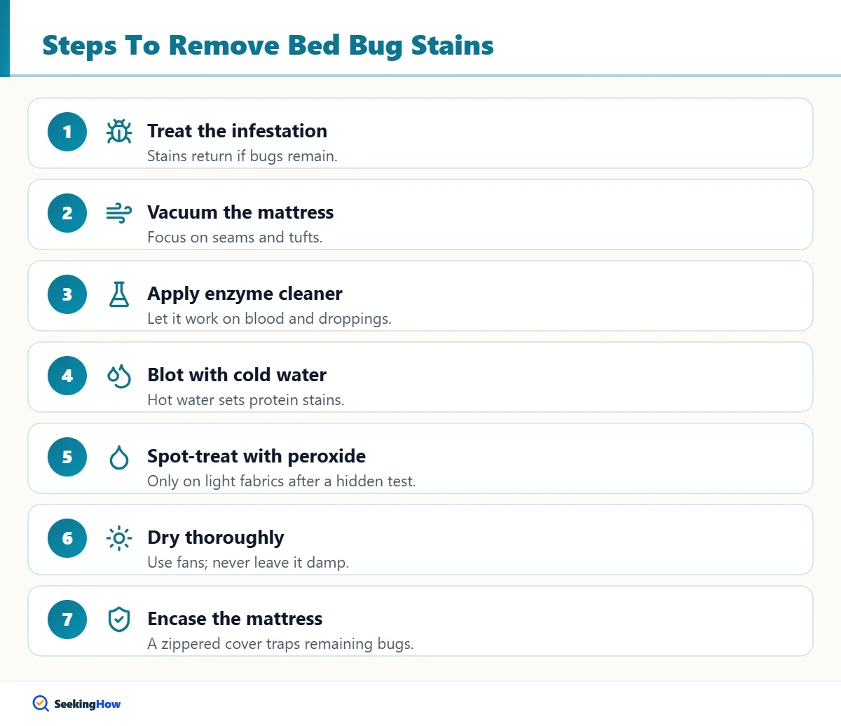 Seven steps to remove bed bug stains from a mattress