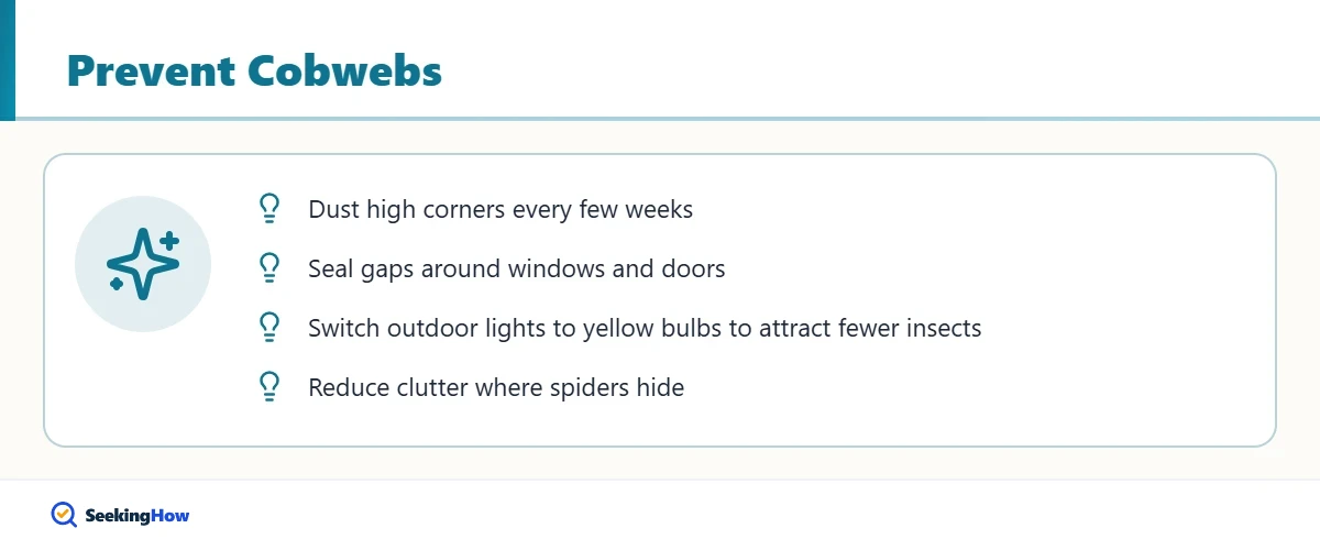 Tips to prevent cobwebs on high ceilings