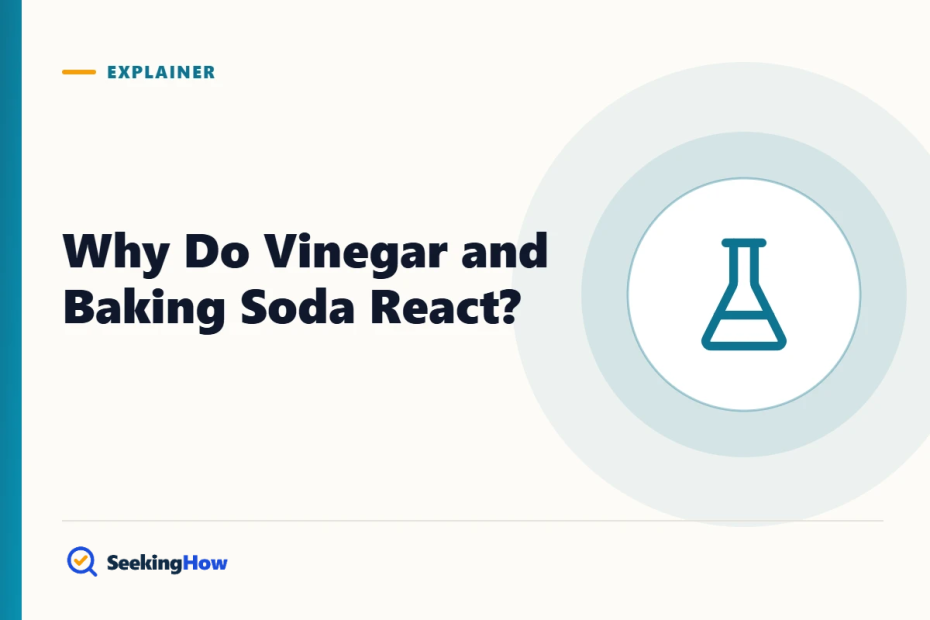 Why Do Vinegar and Baking Soda React? The Chemistry Explained