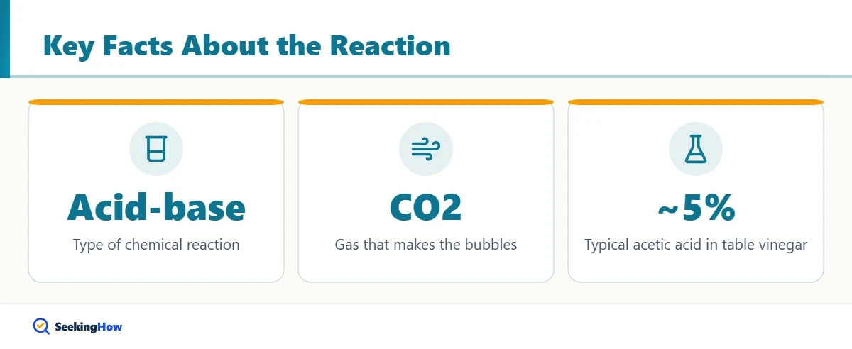 Key facts about the vinegar and baking soda reaction